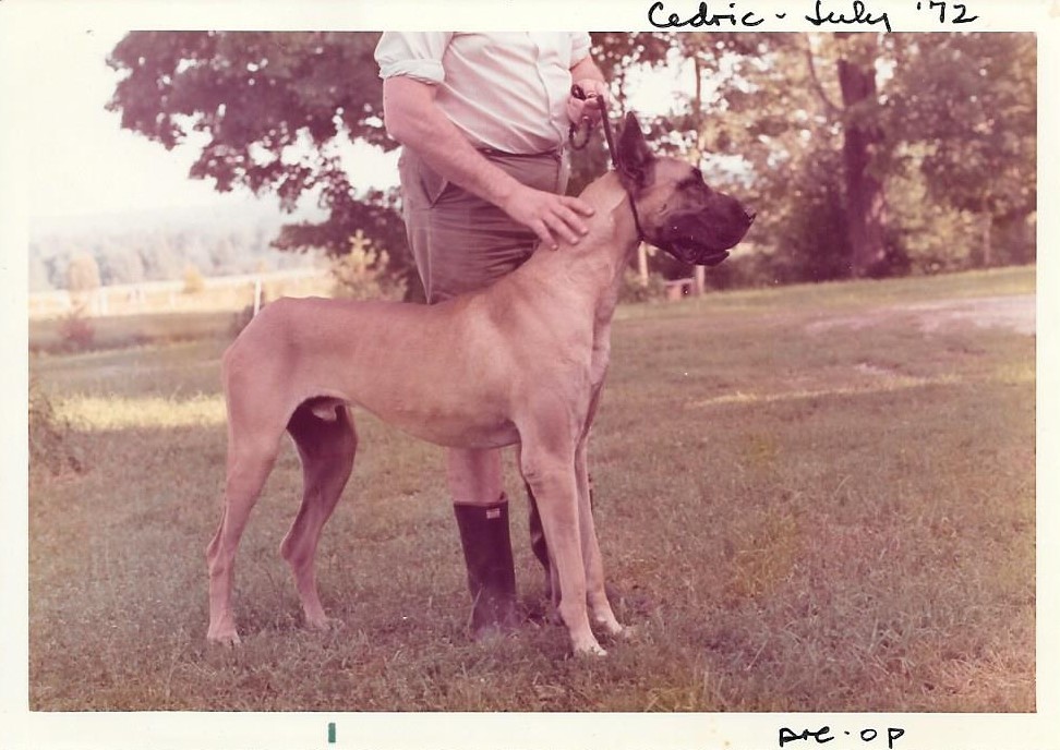 Cedric July 1972
